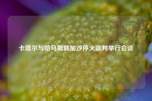 卡塔尔与哈马斯就加沙停火谈判举行会谈