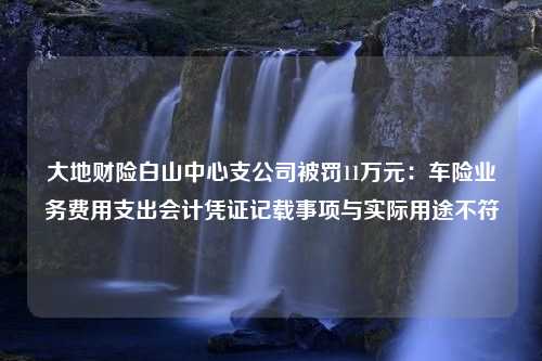 大地财险白山中心支公司被罚11万元：车险业务费用支出会计凭证记载事项与实际用途不符