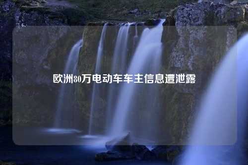 欧洲80万电动车车主信息遭泄露