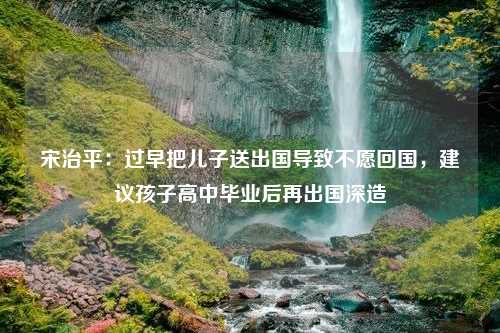 宋治平：过早把儿子送出国导致不愿回国，建议孩子高中毕业后再出国深造