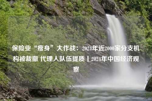 保险业“瘦身”大作战：2024年近2000家分支机构被裁撤 代理人队伍提质丨2024年中国经济观察