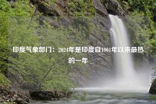 印度气象部门：2024年是印度自1901年以来最热的一年