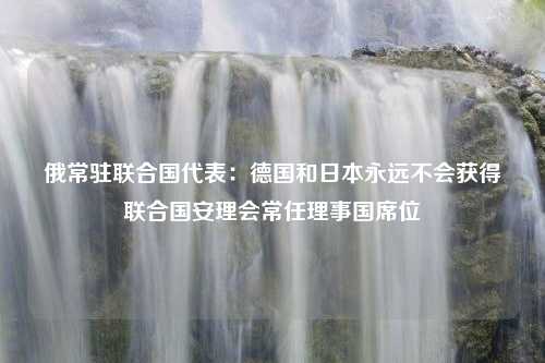 俄常驻联合国代表：德国和日本永远不会获得联合国安理会常任理事国席位