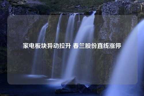 家电板块异动拉升 春兰股份直线涨停