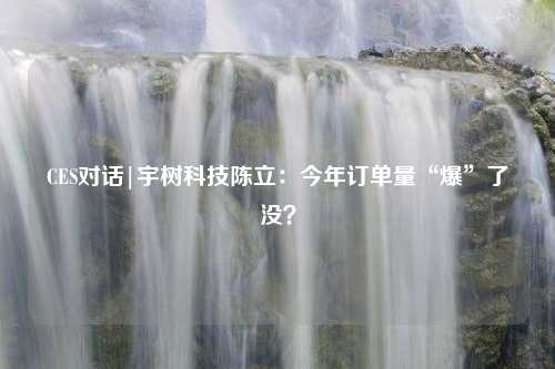 CES对话|宇树科技陈立：今年订单量“爆”了没？