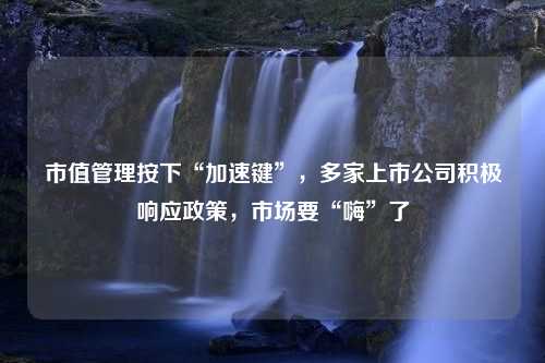 市值管理按下“加速键”，多家上市公司积极响应政策，市场要“嗨”了