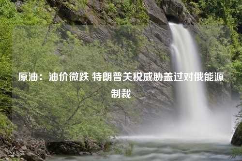 原油：油价微跌 特朗普关税威胁盖过对俄能源制裁