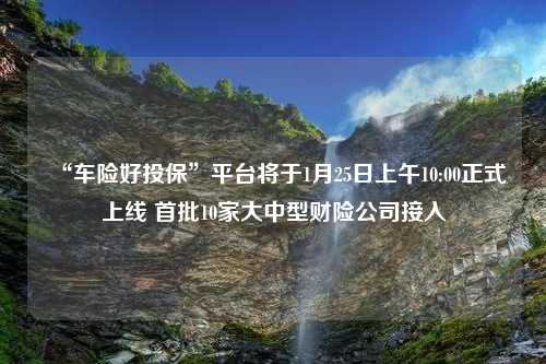 “车险好投保”平台将于1月25日上午10:00正式上线 首批10家大中型财险公司接入