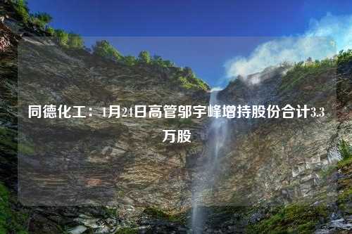 同德化工：1月24日高管邬宇峰增持股份合计3.3万股