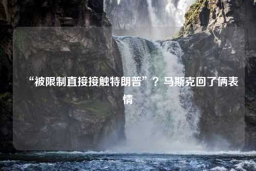 “被限制直接接触特朗普”？马斯克回了俩表情