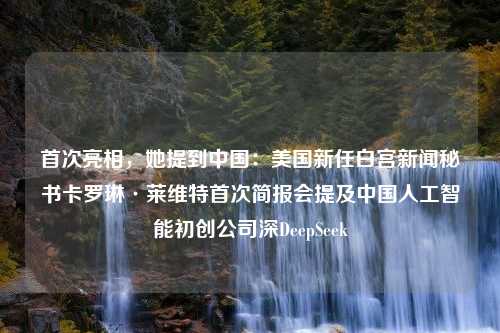 首次亮相，她提到中国：美国新任白宫新闻秘书卡罗琳·莱维特首次简报会提及中国人工智能初创公司深DeepSeek