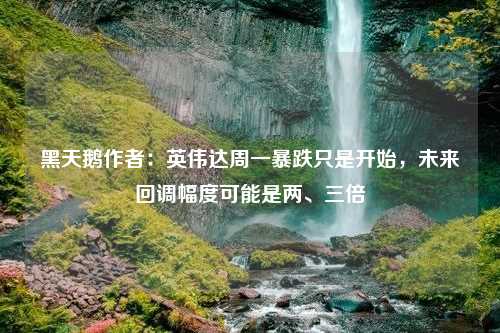 黑天鹅作者：英伟达周一暴跌只是开始，未来回调幅度可能是两、三倍