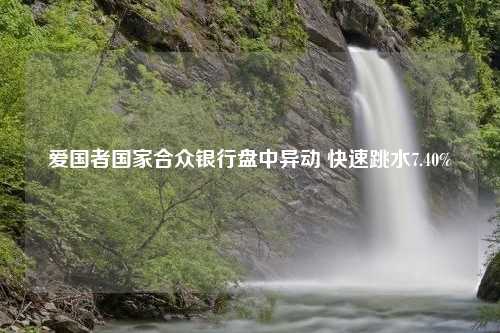 爱国者国家合众银行盘中异动 快速跳水7.40%