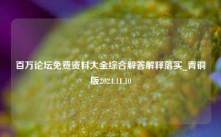 百万论坛免费资料大全综合解答解释落实_青铜版2024.11.10