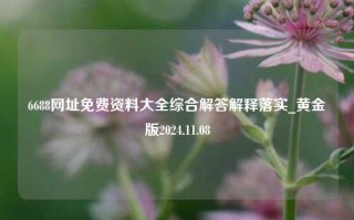 6688网址免费资料大全综合解答解释落实_黄金版2024.11.08