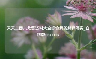 天天二四六免费资料大全综合解答解释落实_白银版2024.11.06