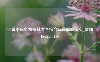 平肖平码免费资料大全综合解答解释落实_青铜版2024.11.04