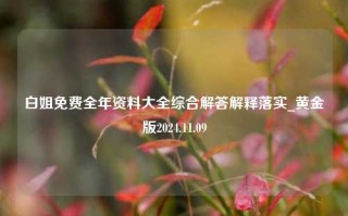 白姐免费全年资料大全综合解答解释落实_黄金版2024.11.09