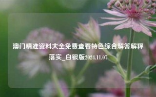 澳门精准资料大全免费查看特色综合解答解释落实_白银版2024.11.07