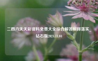 二四六天天彩资料免费大全综合解答解释落实_钻石版2024.11.04