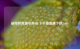 丽翔教育盘中异动 下午盘急速下跌5.08%