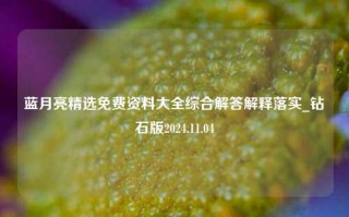 蓝月亮精选免费资料大全综合解答解释落实_钻石版2024.11.04