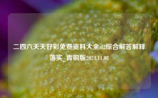 二四六天天好彩免费资料大全zl2综合解答解释落实_青铜版2024.11.08