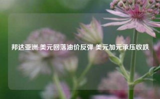 邦达亚洲:美元回落油价反弹 美元加元承压收跌