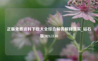 正版免费资料下载大全综合解答解释落实_钻石版2024.11.04