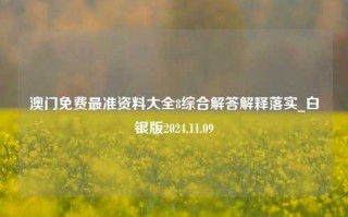 澳门免费最准资料大全8综合解答解释落实_白银版2024.11.09