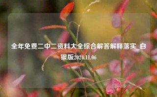 全年免费二中二资料大全综合解答解释落实_白银版2024.11.06