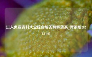 进入免费资料大全综合解答解释落实_青铜版2024.11.05