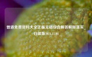 曾道免费资料大全正版无错综合解答解释落实_白银版2024.11.04