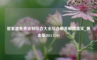 管家婆免费资料综合大全综合解答解释落实_黄金版2024.11.04