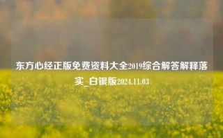 东方心经正版免费资料大全2019综合解答解释落实_白银版2024.11.03