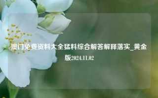 澳门免费资料大全猛料综合解答解释落实_黄金版2024.11.02