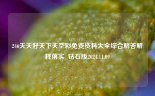 246天天好天下天空彩免费资料大全综合解答解释落实_钻石版2024.11.09