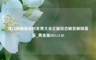 澳门最精准资料免费大全正版综合解答解释落实_黄金版2024.11.03