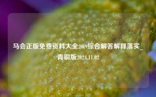 马会正版免费资料大全20l9综合解答解释落实_青铜版2024.11.02