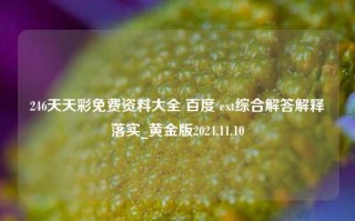 246天天彩免费资料大全 百度 ext综合解答解释落实_黄金版2024.11.10