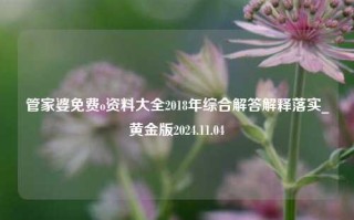 管家婆免费o资料大全2018年综合解答解释落实_黄金版2024.11.04