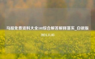 马报免费资料大全108综合解答解释落实_白银版2024.11.03