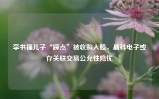 李书福儿子“踩点”被收购入股，晶科电子或存关联交易公允性隐忧