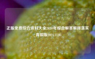 正版免费综合资料大全202O年综合解答解释落实_青铜版2024.11.03