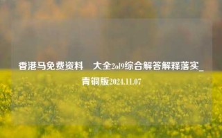 香港马免费资料枓大全2ol9综合解答解释落实_青铜版2024.11.07