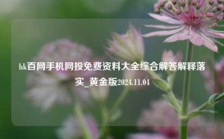 hk百网手机网投免费资料大全综合解答解释落实_黄金版2024.11.04