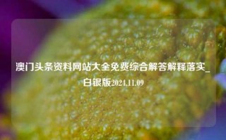 澳门头条资料网站大全免费综合解答解释落实_白银版2024.11.09