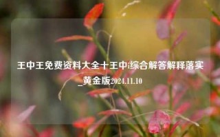 王中王免费资料大全十王中i综合解答解释落实_黄金版2024.11.10