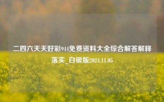 二四六天天好彩944免费资料大全综合解答解释落实_白银版2024.11.05