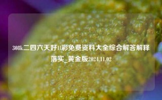 308k二四六天好1l彩免费资料大全综合解答解释落实_黄金版2024.11.02